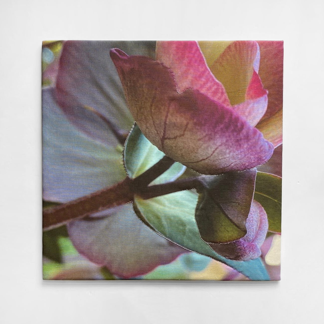 Artsuite - Art Marketplace - New Arrivals